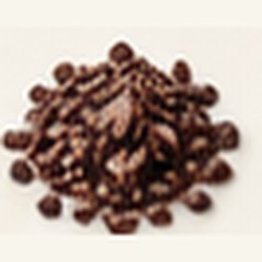 Cacao nibs