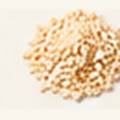 Sesame